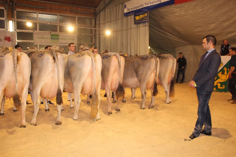 Grace gewinnt die 21. Top Show in Istighofen