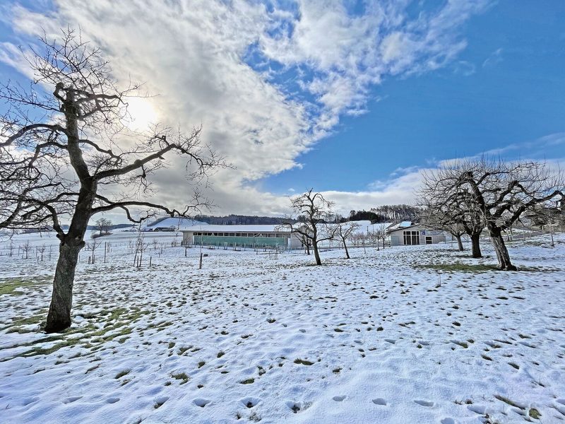 Aufzucht- und Legehennenstall (links) liegen nebeneinander. Im Vordergrund ist der Obstgarten zu sehen, mit Schnee auf dem Gras.