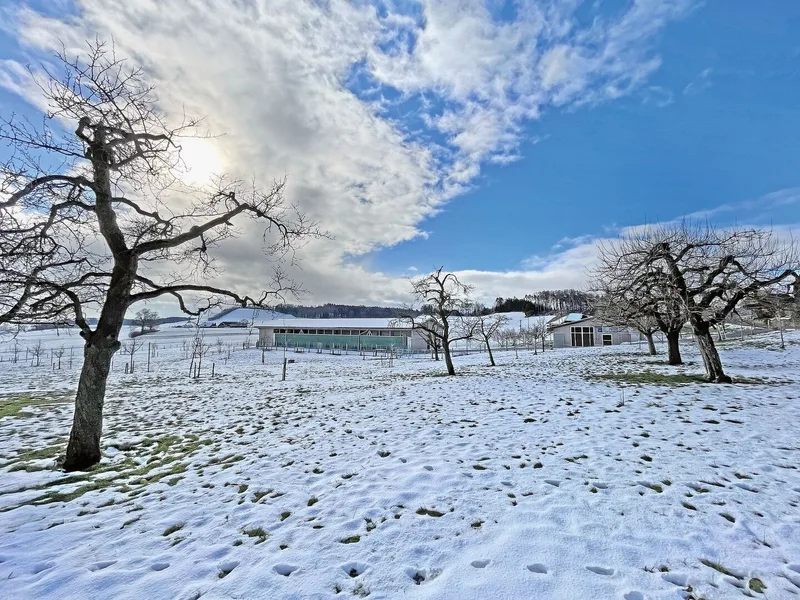 Aufzucht- und Legehennenstall (links) liegen nebeneinander. Im Vordergrund ist der Obstgarten zu sehen, mit Schnee auf dem Gras.