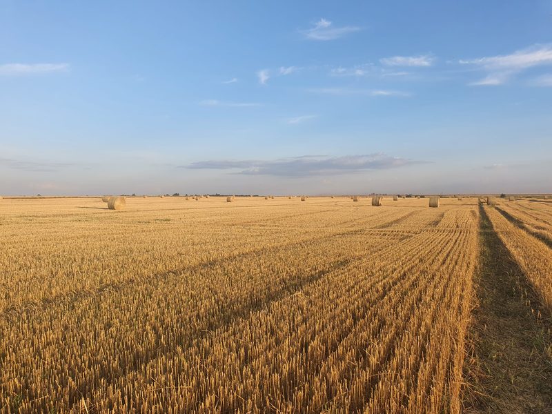 Lorenzo Tognola über seine Arbeit in Russland: «Ich bin Agronom - ich beschäftige mich nicht mit Politik»