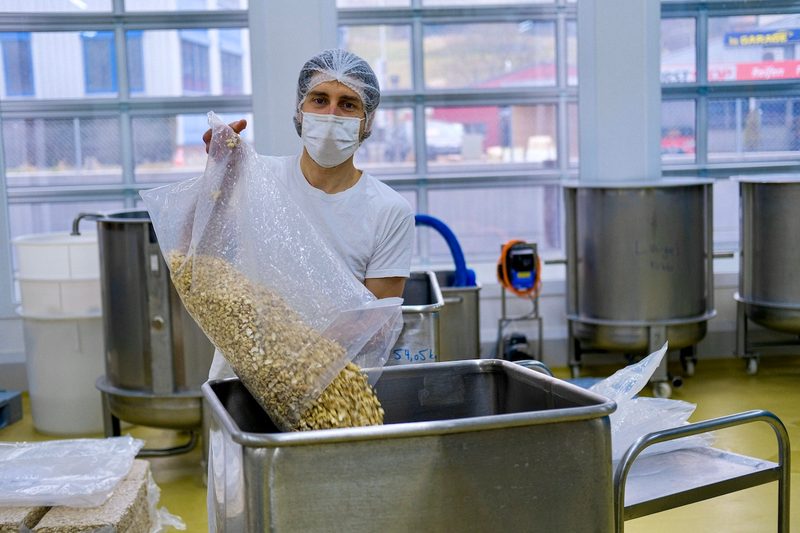 New Roots will mit veganem Käse-Ersatz Schweizer Traditionen bewahren