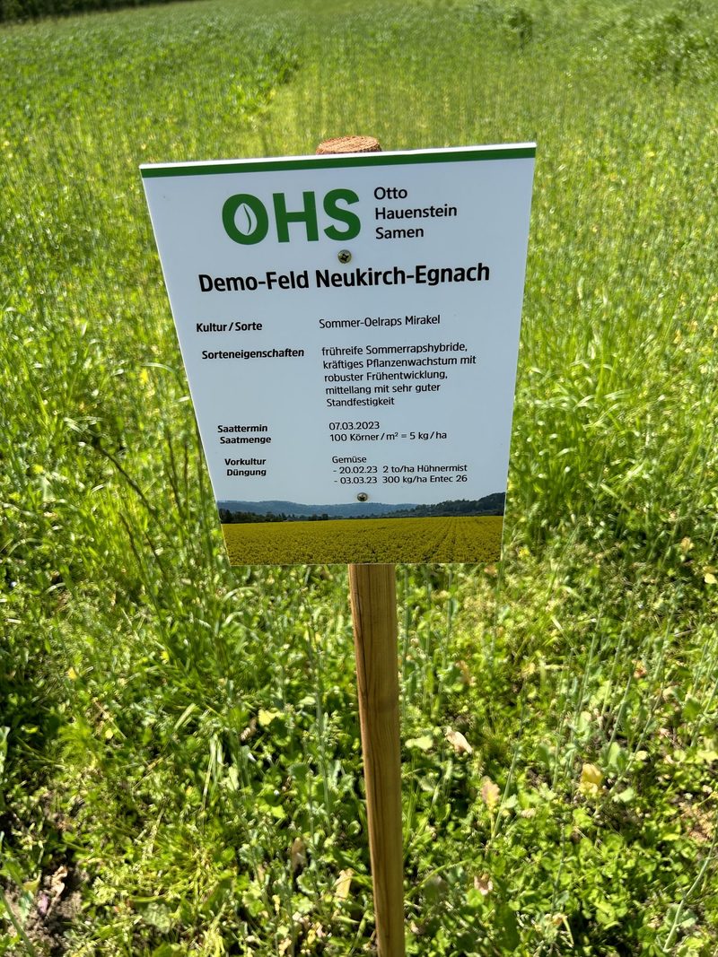 Sommerraps ist mehr als nur ein Lückenbüsser
