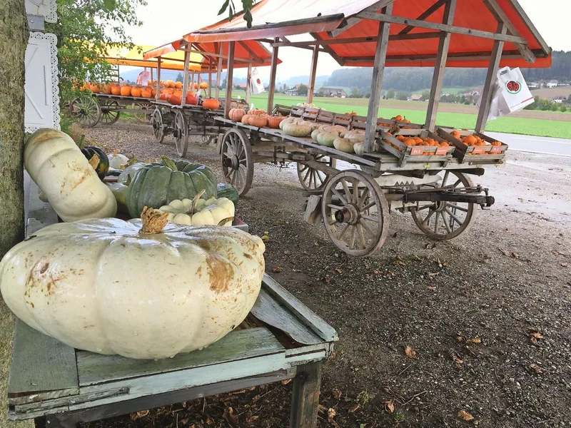 Besonders im Herbst