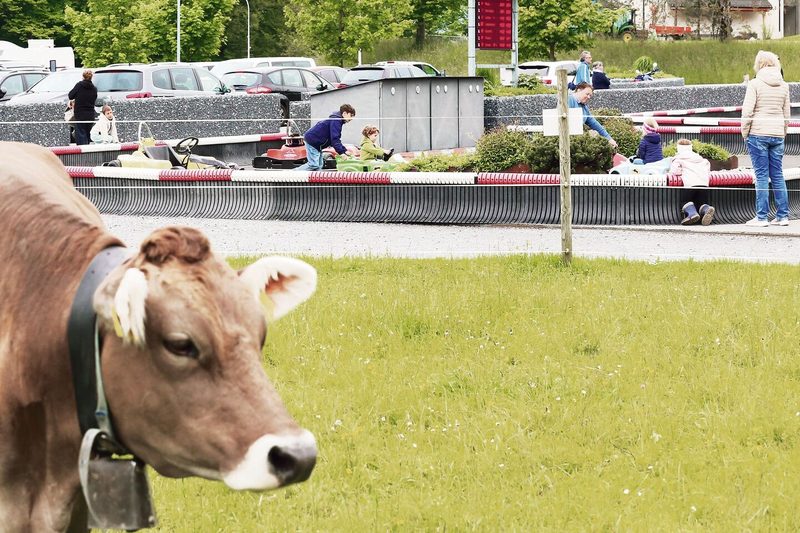 Die Go-Kartbahn des Freizeitresorts Swiss Holiday Park befindet sich unmittelbar neben der Kuhweide.
