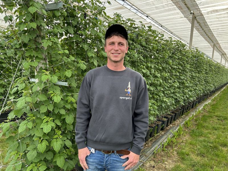 Fruchtige Vielfalt: Himbeeren im Substrat und Erdbeeren auf Stroh