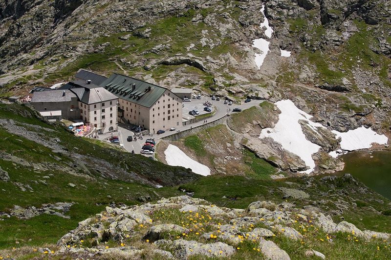 Bernhardiner: Wissenswertes über den Schweizer Nationalhund