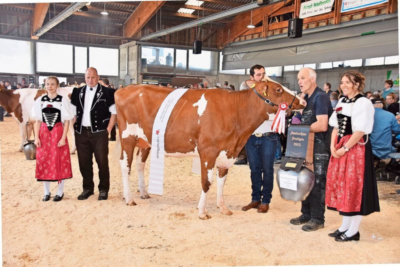 Junior-Miss bei den RH- und Holsteinkühen wurde Bagatelle Amaretto Dobrilla von Bernhard Gertsch aus Frutigen.