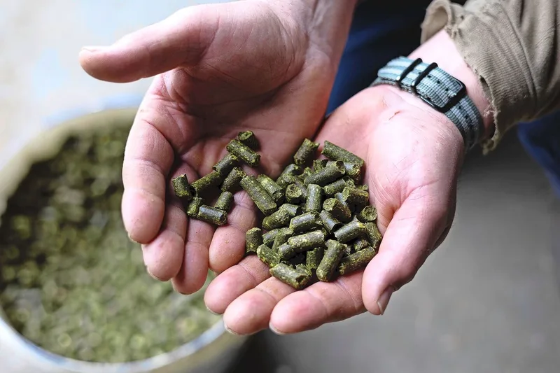 Nur wenn die Grasqualität stimmt, lohnt sich die Investition in Trockengrünpellets.