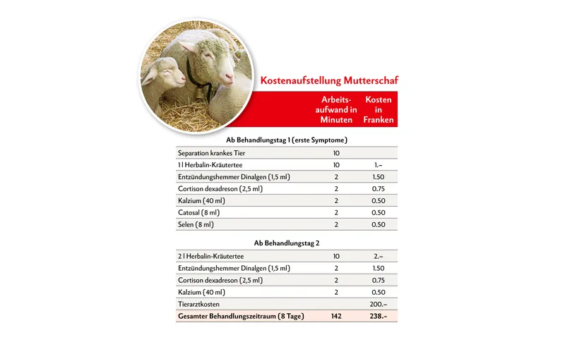 Die Tabelle zeigt die geschätzten Behandlungskosten und den geschätzten Arbeitsaufwand bei einer BTV-3-Erkrankung für ein 80 kg schweres Mutterschaf während eines Zeitraums von 8 Tagen. Quelle: Strickhof