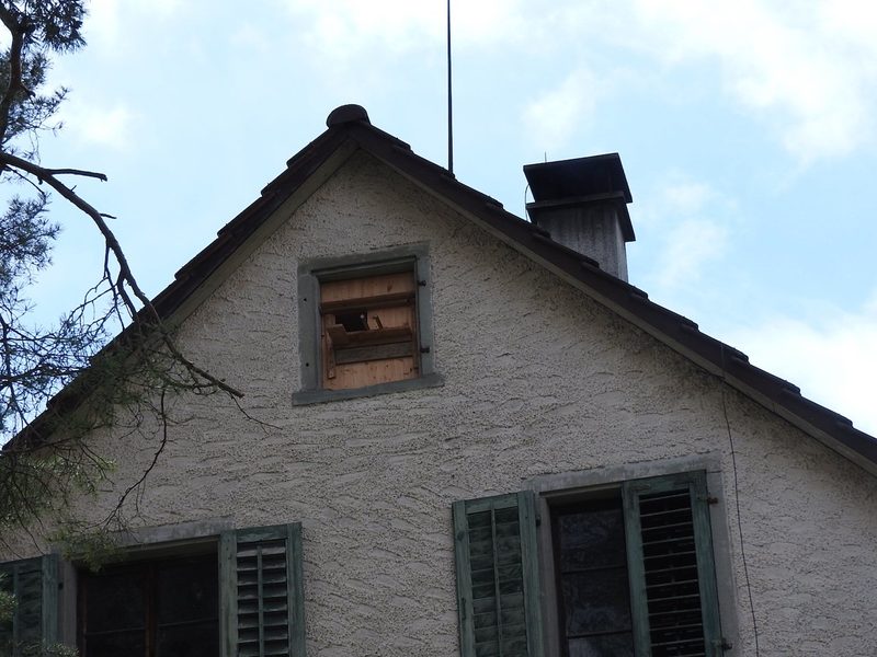 Livestream aus dem Turmfalkenkasten mit unerwarteten Besuchern