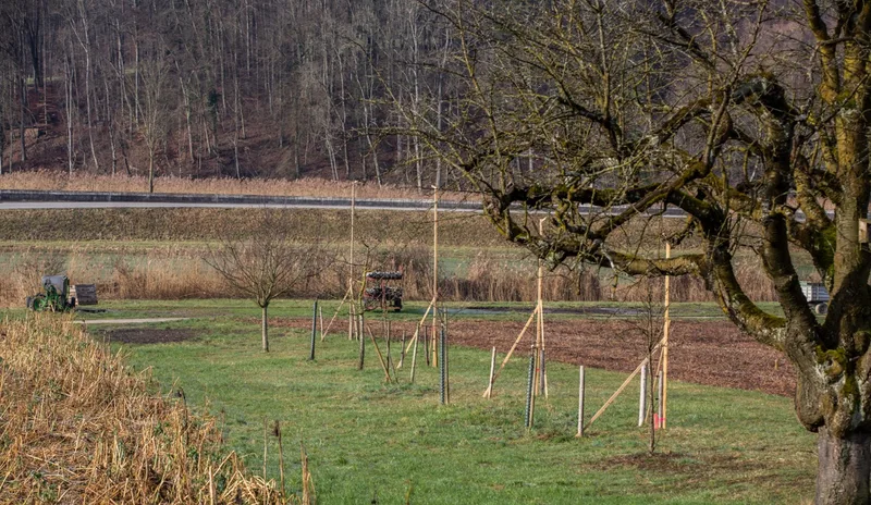 Bis Herbst 2021 soll hier eine Remise mit Spritzen-Waschplatz, ein Umschlagplatz sowie eine Lagerhalle mit Rüst- und Vorbereitungsplatz für das Gemüse der BG Aare-Bio entstehen. Bild: Pia Neuenschwander