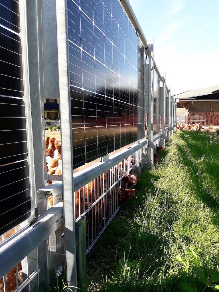 Der Weidezaun als Stromkraftwerk: Das verspricht der Solarzaun
