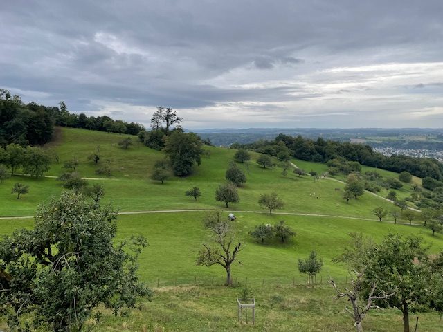 Zur Verpachtung: Landwirtschaftsbetrieb Obergruth in Münchenstein