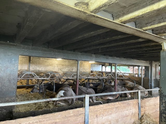 Zur Verpachtung: Landwirtschaftsbetrieb Obergruth in Münchenstein