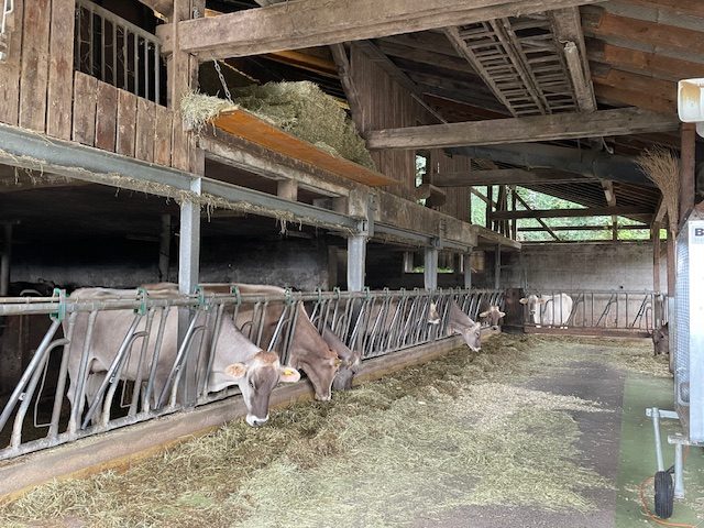 Zur Verpachtung: Landwirtschaftsbetrieb Obergruth in Münchenstein