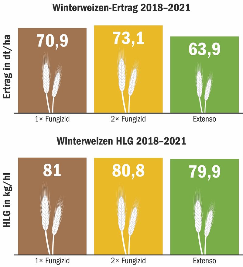 Die Sortenwahl ist wichtiger als die Fungizidstrategie, sagen HAFL-Forscher