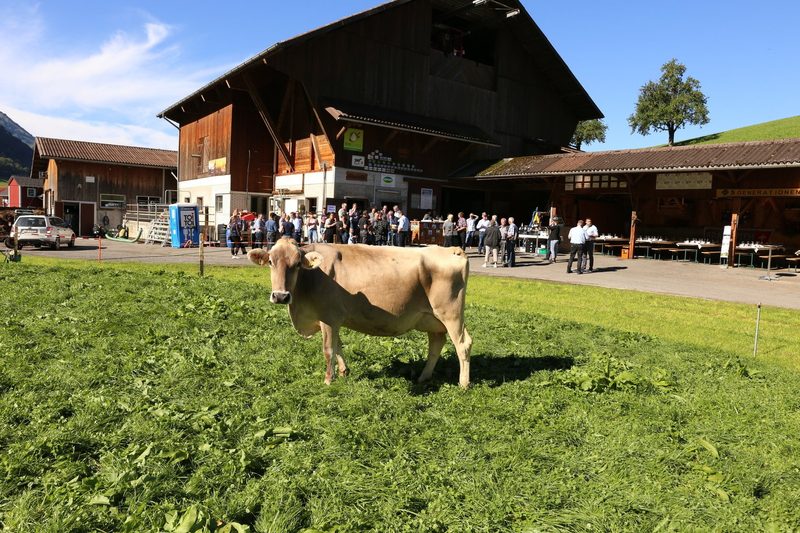 Die charakterstarken Mitarbeiterinnen im Milchviehstall