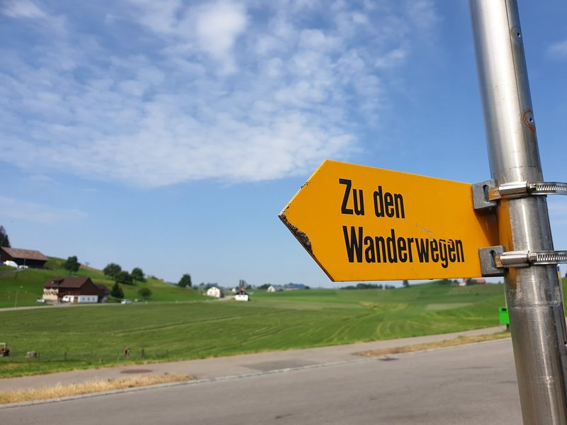 Bei einer Begegnung mit Mutterkühen gibt Abstand Sicherheit