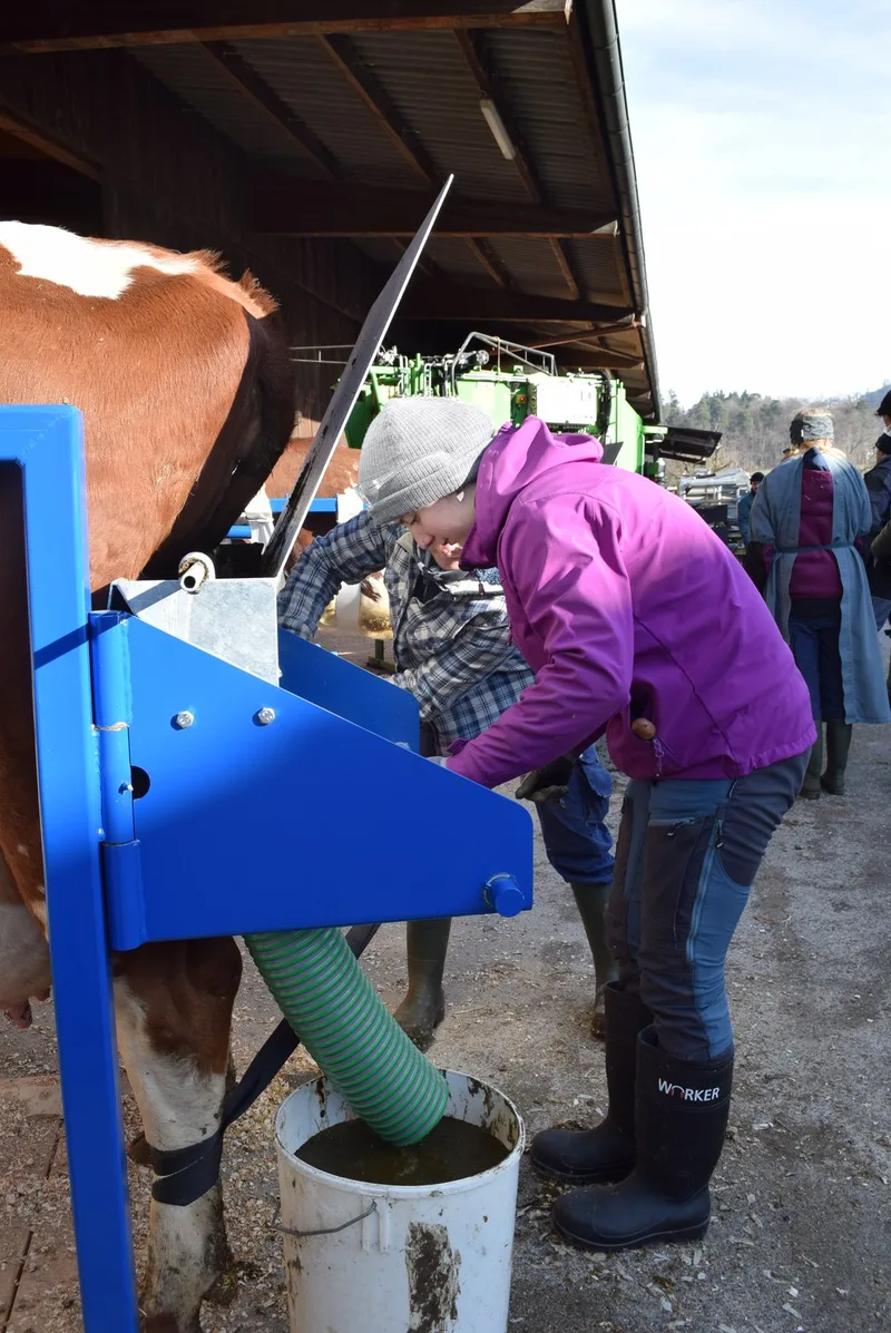 Klauenpflege: Diese Schweizer Tierhaltenden wollen freiwillig besser werden
