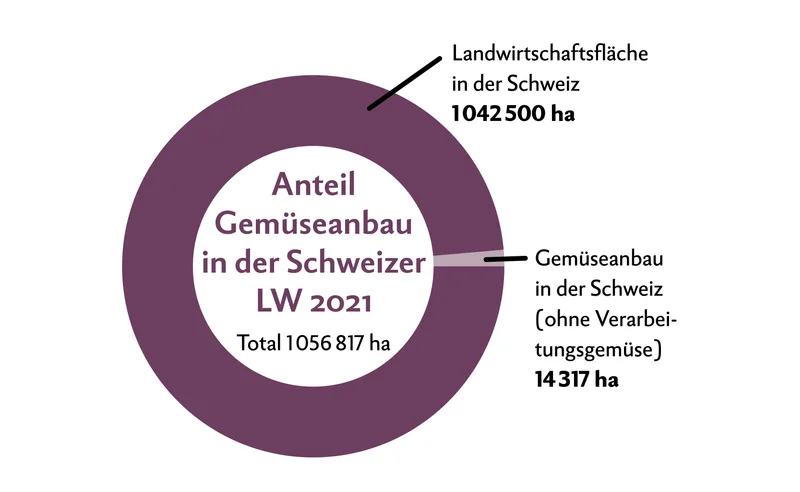 Fakten rund ums Gemüse