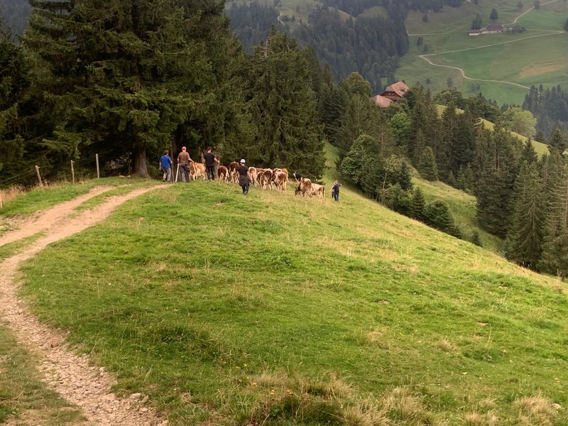 Die Landwirtschaft bietet krisengeplagten Menschen Stabilität und Sicherheit