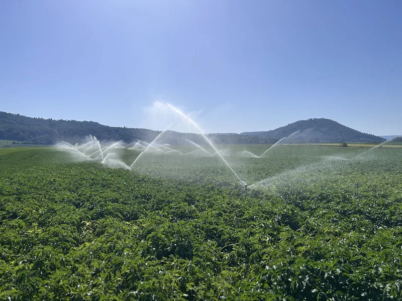 Wasser aus dem Rhein bringt Ertragssicherheit für 24 Bauernfamilien im Bibertal