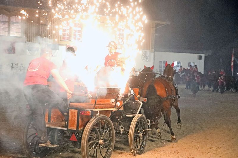 Im wahrsten Sinne des Wortes ein Feuerwerk boten die Falkensteiner Pferdezüchter während des Rahmenprogramms am Samstagabend.