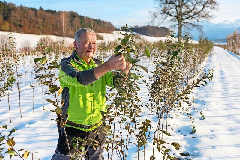 Rückblick auf «Weitblick», die Jahresserie 2025