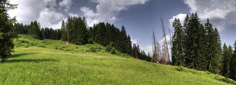 Der Kulturlandschaftspreis – eine Anerkennung für die Bergbauern