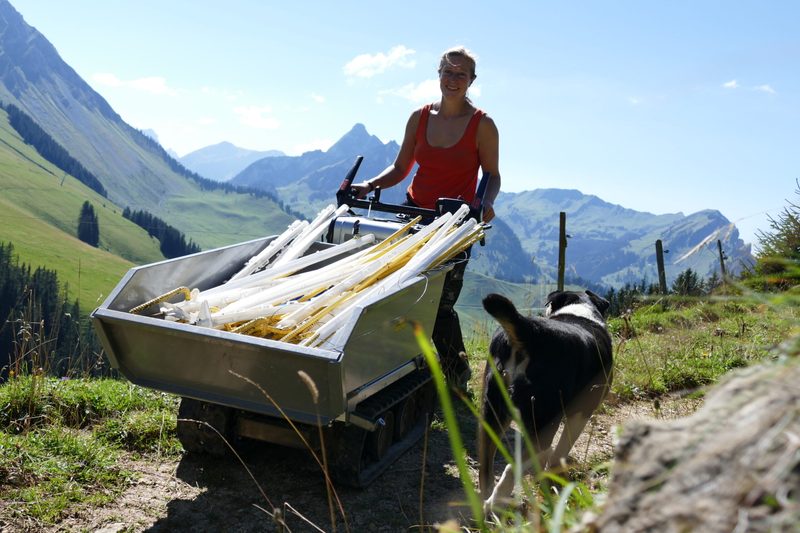 Interview mit Katharina Afflerbach: «Der erste Alpsommer war ein Aufbruch ins Ungewisse»