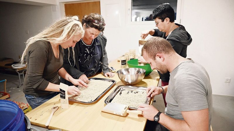 Susanne Gerber, Margrit Messerli, Christine Gerber und Timo Gerber (v. l. n. r.) erlesen und verpacken Reis.