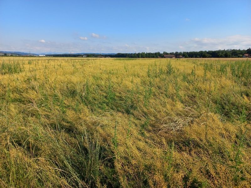 Biofarm-Produzentinnen und -Produzenten tauschten sich aus