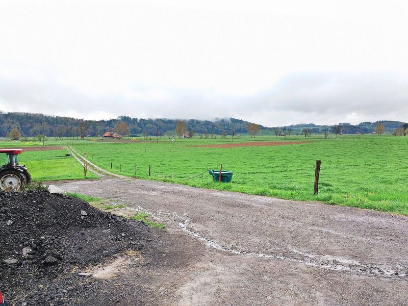 Manchmal kann ein bestehender Feldweg als Treibweg genutzt und Weideeingänge bei Bedarf verschoben werden.