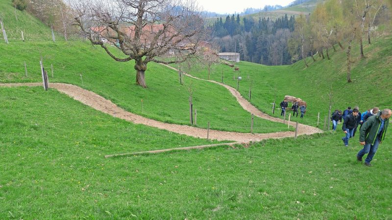 Ein befestigter Treibweg zur gezielten Weideführung. Feste Wege und Weideflächen bedürfen teils einer Baubewilligung.