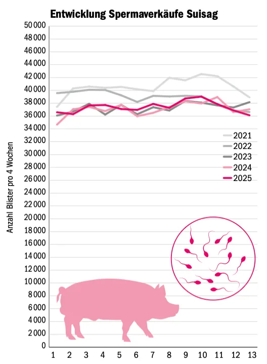 Spermaverkäufe sind kein Indikator für viele Schlachtschweine