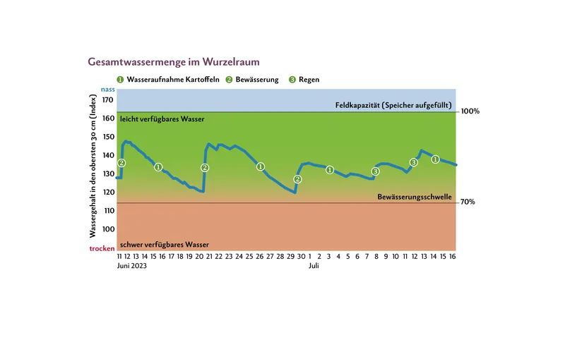 Die Bodensonde im Innovator-Feld von David Perler hilft beim Entscheid, wann bewässert werden muss. Eine Bodensonde sollte immer an einem möglichst repräsentativen Ort einer Parzelle platziert werden. Der Sensor misst bis in 60 cm Tiefe auf allen 10 cm den volumetrischen Wassergehalt des Bodens. Zudem werden die Bodentemperatur bei 15 und 45 cm Bodentiefe sowie der Niederschlag gemessen. Die Daten werden an einen Server übermittelt und auf der Website dargestellt. Der Schwellenwert für den Start der Bewässerung liegt bei 70 Prozent des Wassergehaltes des Bodens bei Feldkapazität.