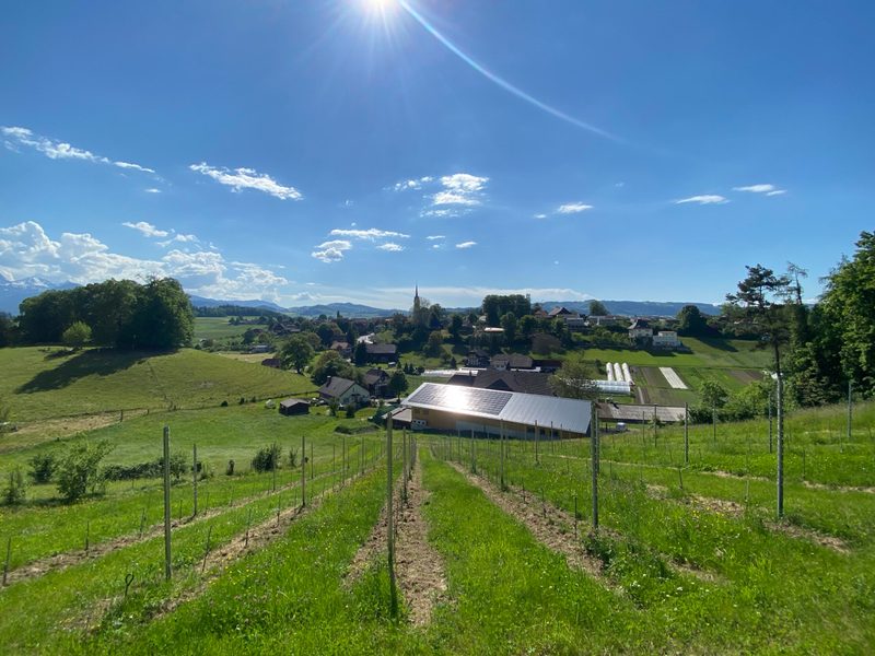 Bio-Obstbauer Marco Messerli: «Landwirte wurden in nur einem Jahr von Helden zu Vergiftern»