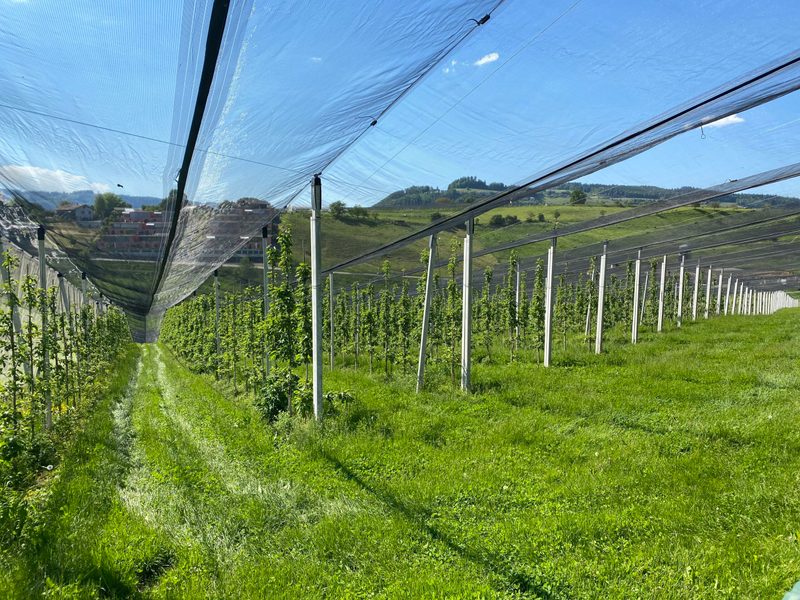 Bio-Obstbauer Marco Messerli: «Landwirte wurden in nur einem Jahr von Helden zu Vergiftern»