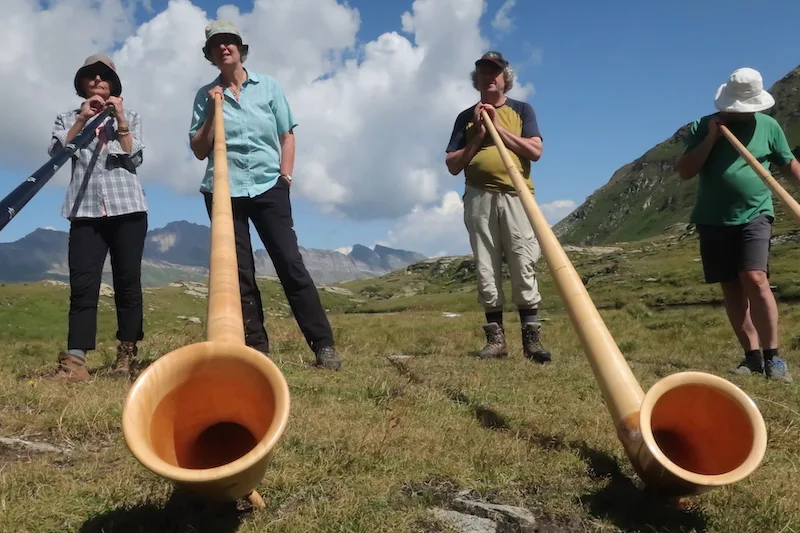 Alphornklänge inspiriert von Edelweiss und Enzian