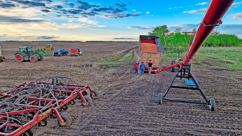 Die Feldarbeit hat um diese Jahreszeit Priorität: 1300 Hektaren Getreide säen Juli Gabriel und ihr Mann Karl jedes Jahr auf ihrer Farm in der kanadischen Provinz Saskatchewan an.