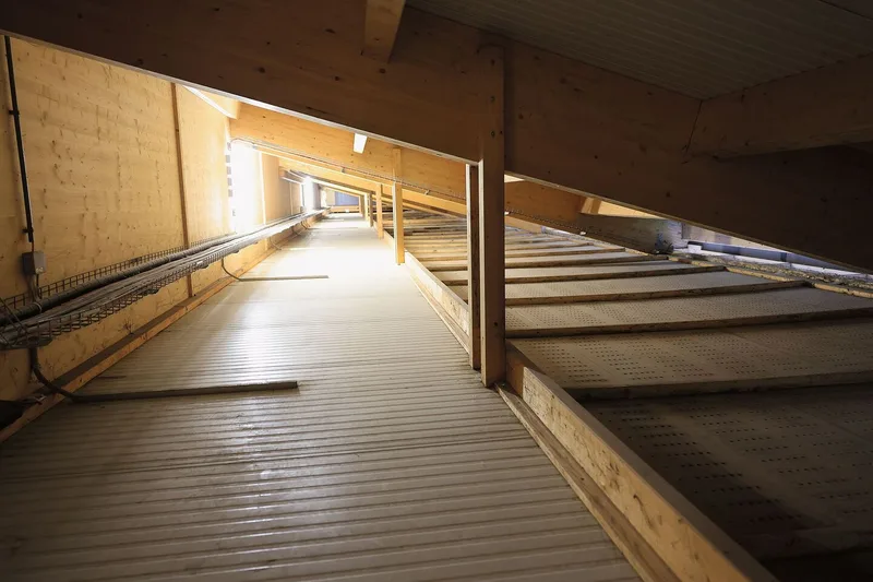 Unter dem Stalldach: Rechts am Boden ist die Lochdecke zu sehen, durch die frische Luft in den Stall sinkt. Links die Holzwand, auf deren anderen Seite der Abluftkanal ist.