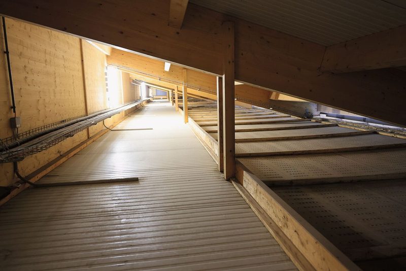 Unter dem Stalldach: Rechts am Boden ist die Lochdecke zu sehen, durch die frische Luft in den Stall sinkt. Links die Holzwand, auf deren anderen Seite der Abluftkanal ist.