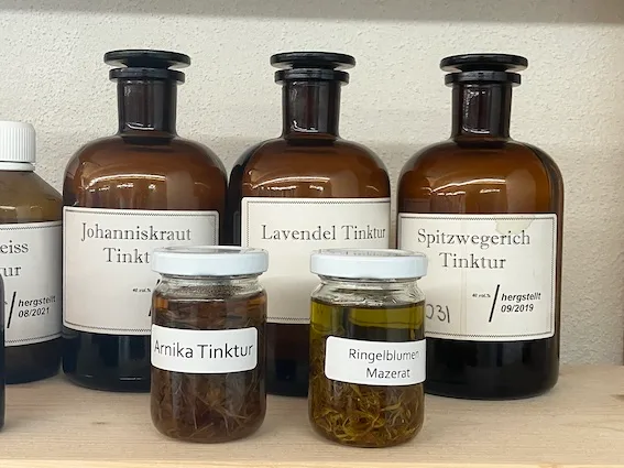 Als Balsam zeigt die Blacke ihre nützlichen Seiten
