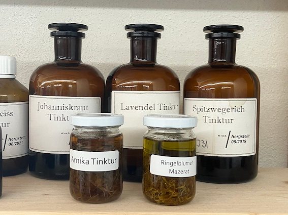 Als Balsam zeigt die Blacke ihre nützlichen Seiten