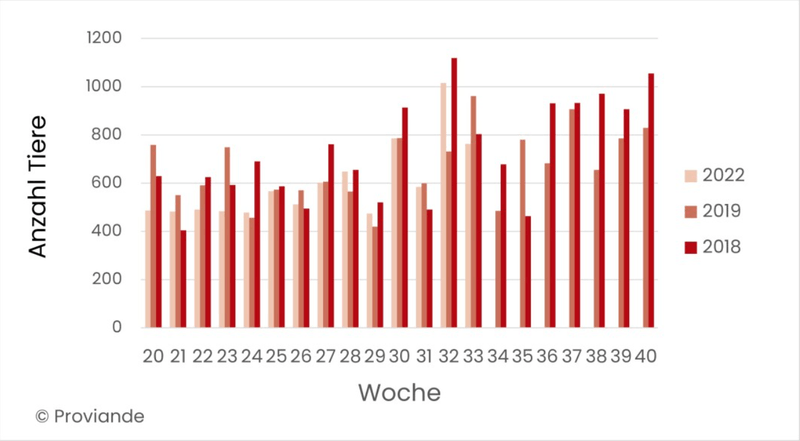 Jetzt nicht wegen sinkenden Preisen überstürzt die Kühe auf den Markt bringen