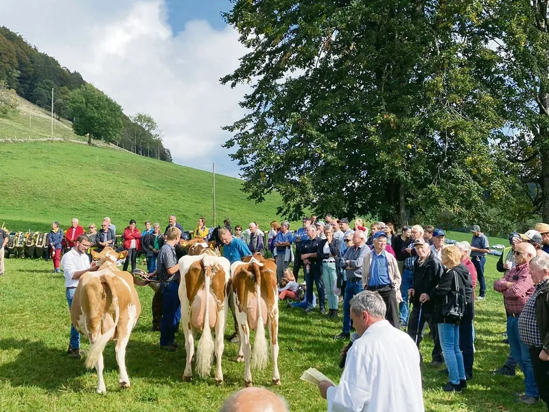 Die Viehschau auf dem Passwang vereint Tradition und Leidenschaft