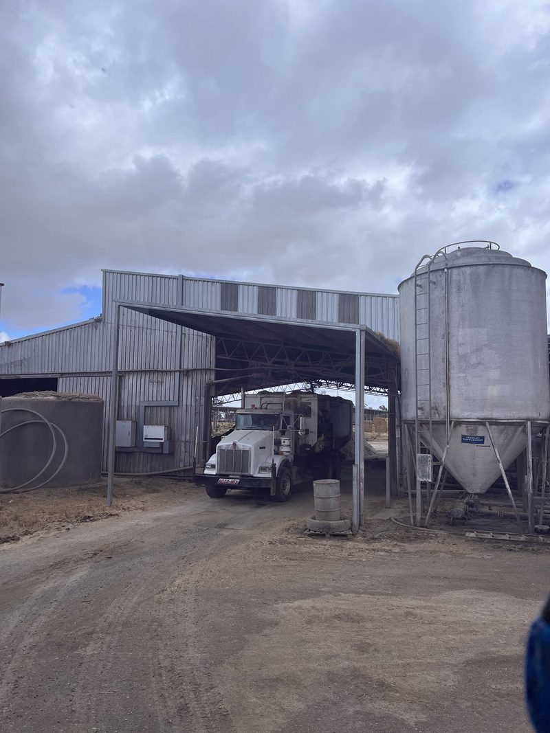 Tierwohl in Australien: Auch Feedlots müssen nachrücken