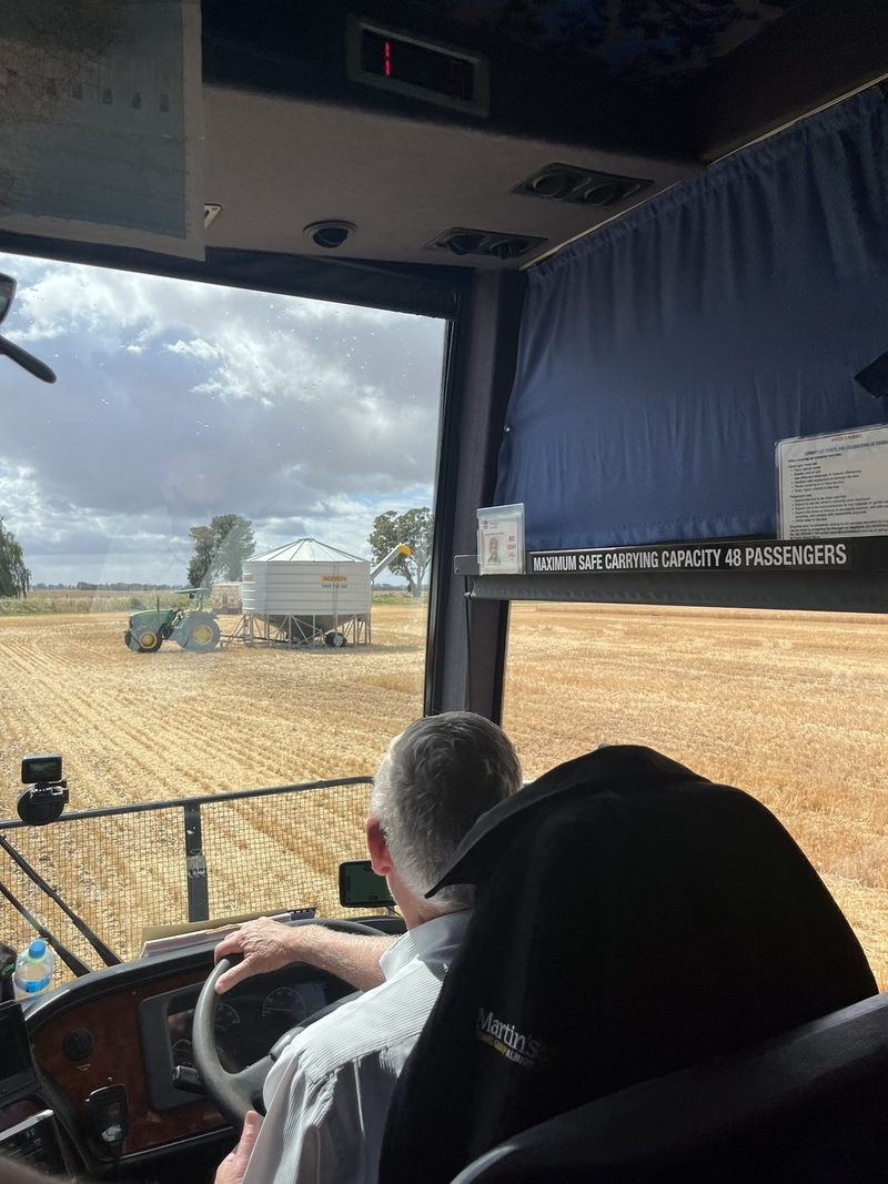 Tierwohl in Australien: Auch Feedlots müssen nachrücken