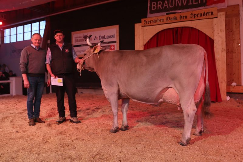Die souveräne Original Braunvieh Kuh Lampedusa wird erneut Miss Sorexpo