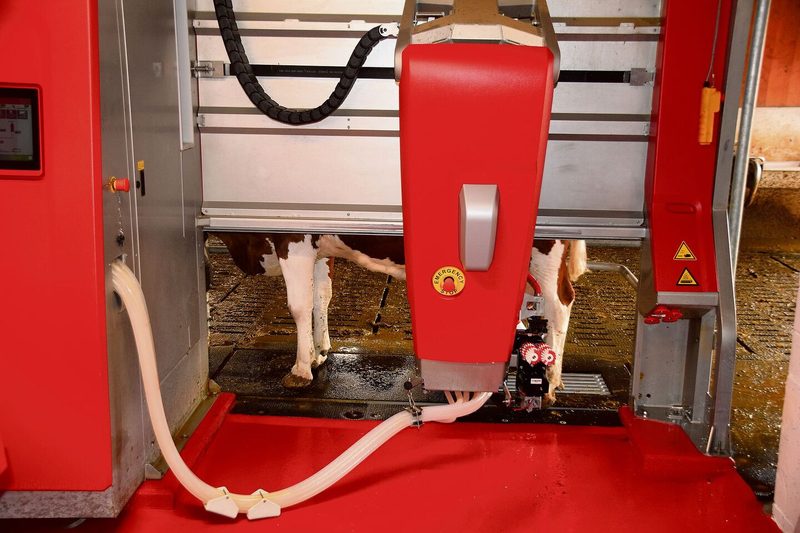 Seit letztem Herbst melkt bei Kropfs ein Lely Astronaut A5 die Kühe.